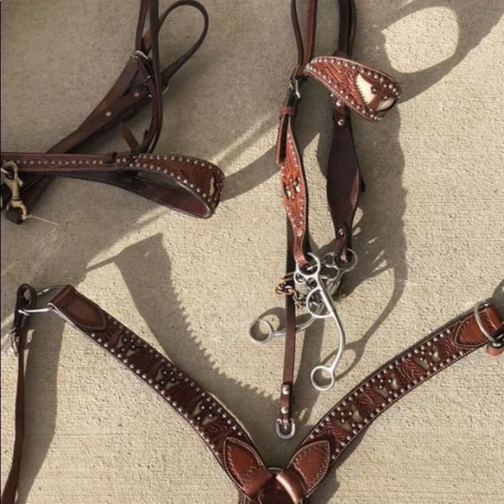 Bar H Equine Tack Set